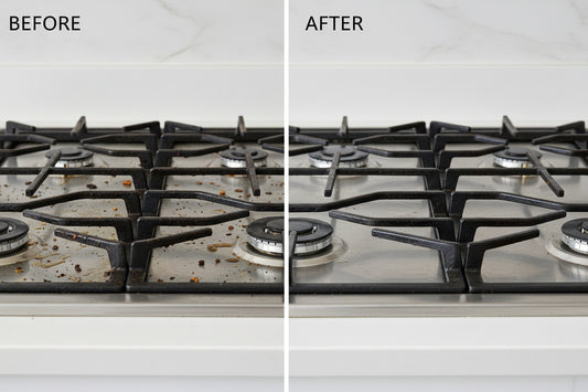 Professional Steam Cleaner